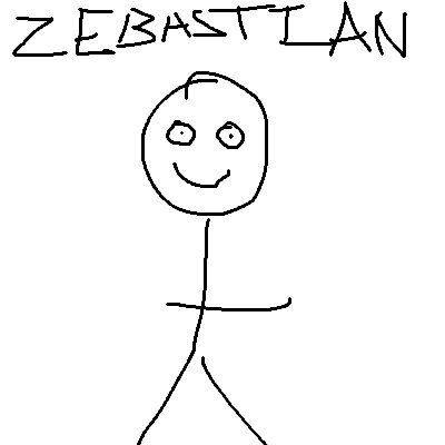 Zebastian Falk, Falks IT